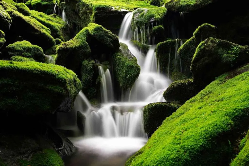 waterfalls near me with green grass